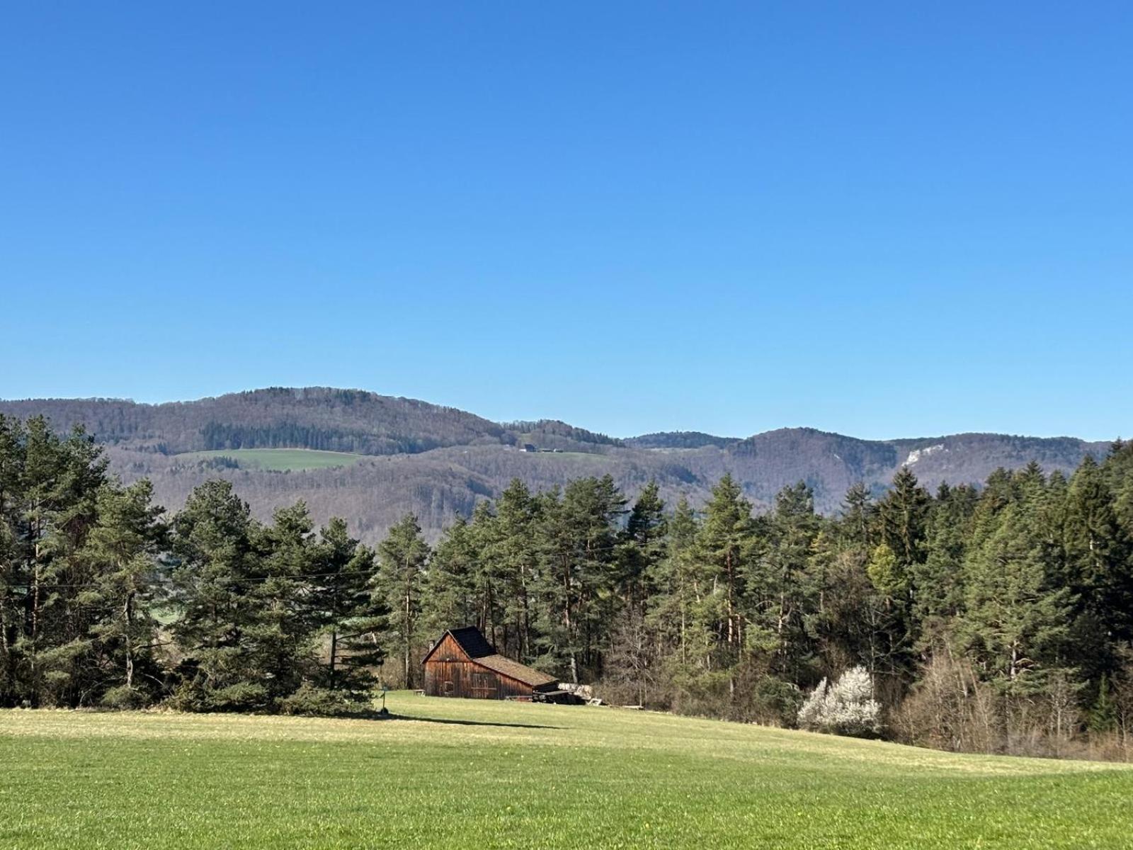 Atemberaubender Ausblick Mit Premium-Wanderwegen Vor Der Haustuer Appartement Albstadt Buitenkant foto