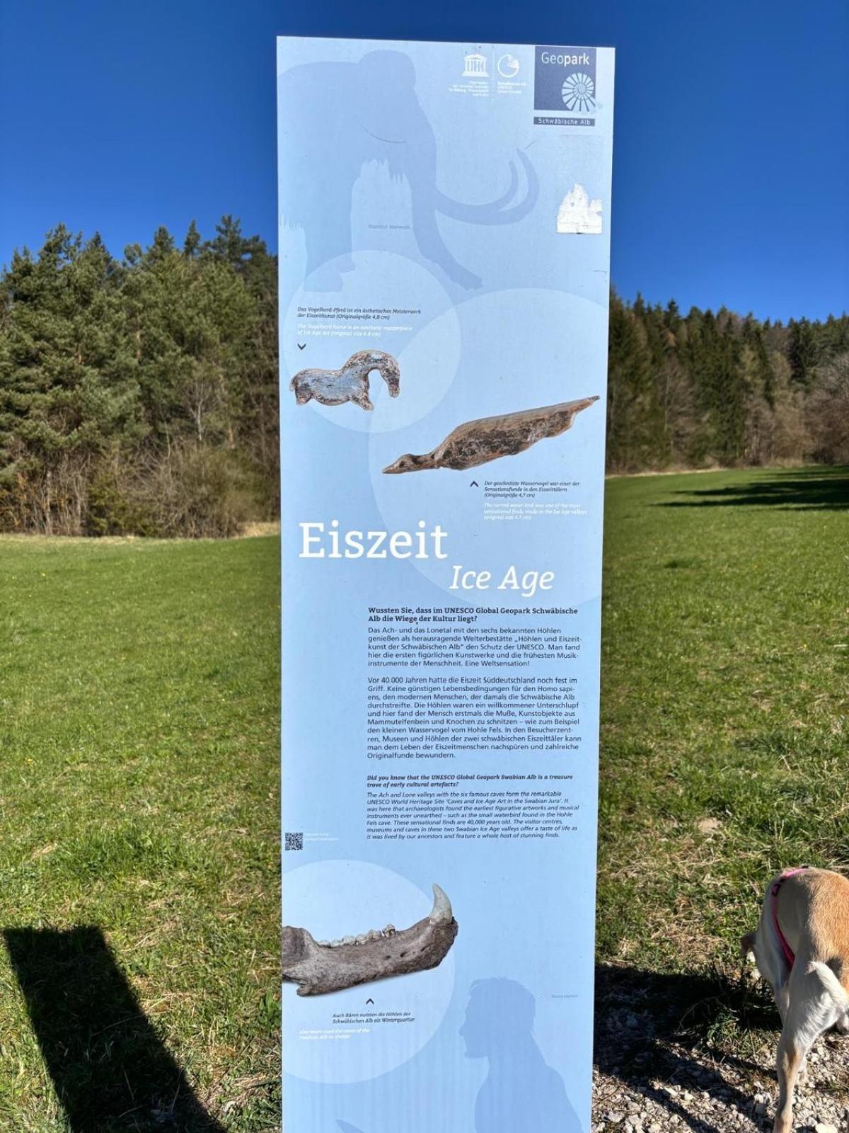 Atemberaubender Ausblick Mit Premium-Wanderwegen Vor Der Haustuer Appartement Albstadt Buitenkant foto
